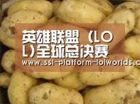 产品展示标题6