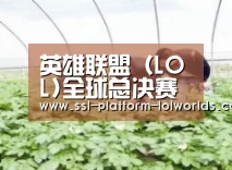 种植基地三