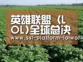 种植基地五(图1)