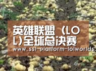 种植基地七