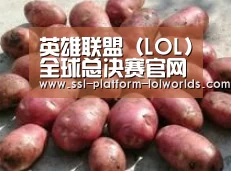 产品展示标题5(图1)