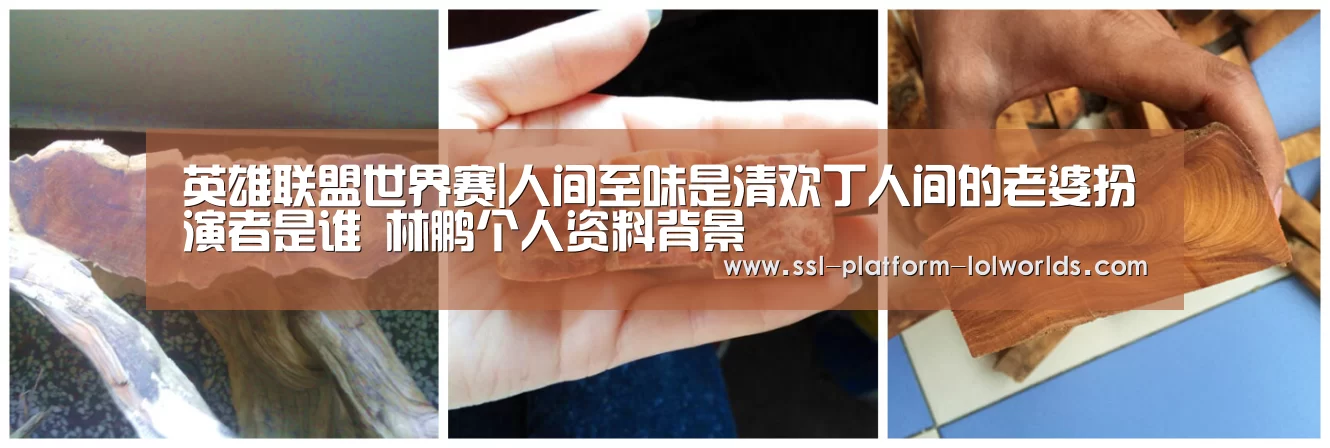 全球总决赛官网