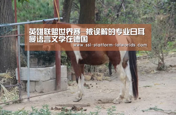 英雄联盟世界赛-被误解的专业日耳曼语言文学在德国(图2) 英雄联盟世界赛