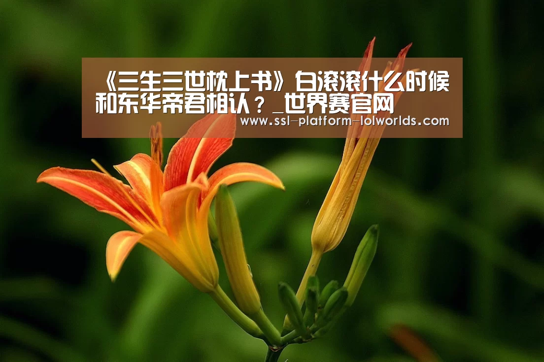 《三生三世枕上书》白滚滚什么时候和东华帝君相认?_世界赛官网(图3) 全球总决赛官网