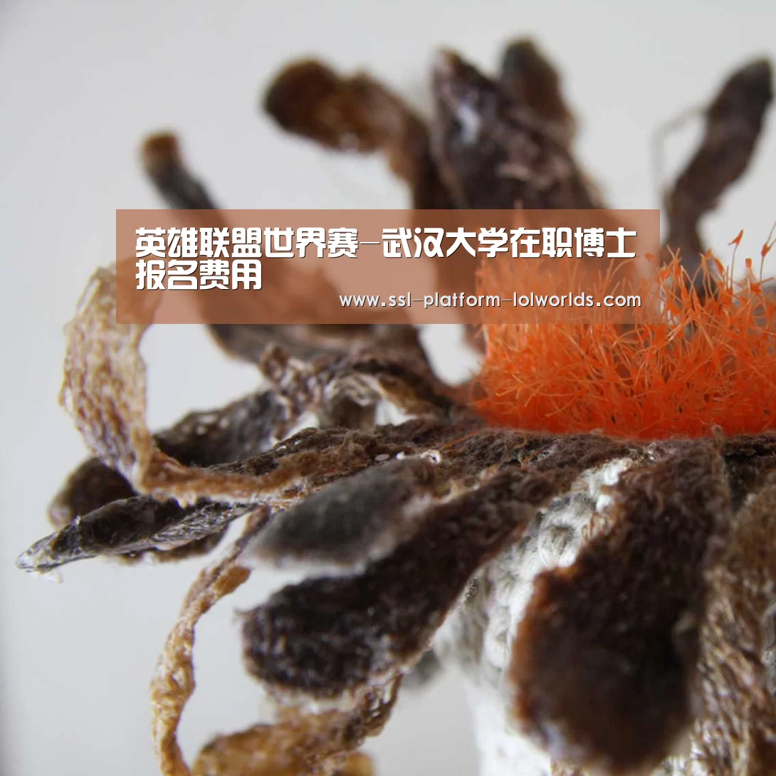 英雄联盟世界赛-武汉大学在职博士报名费用(图1) 世界赛官网