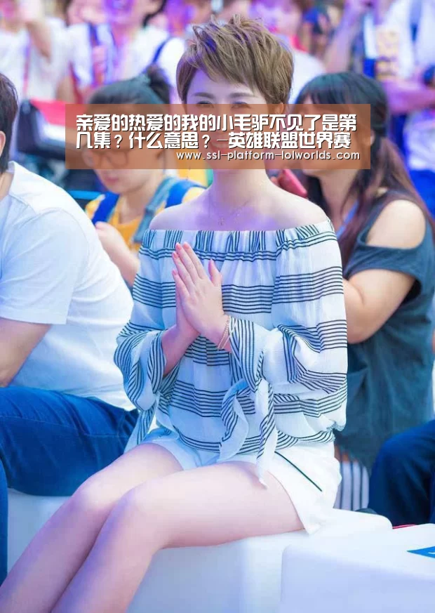 亲爱的热爱的我的小毛驴不见了是第几集?什么意思?-英雄联盟世界赛(图1) 英雄联盟世界赛