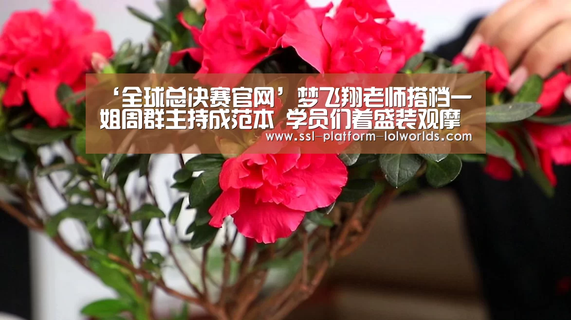 ‘全球总决赛官网’梦飞翔老师搭档一姐周群主持成范本 学员们着盛装观摩(图1) 世界赛官网