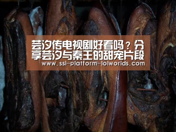 芸汐传电视剧好看吗?分享芸汐与秦王的甜宠片段‘世界赛官网’(图4) 世界赛官网
