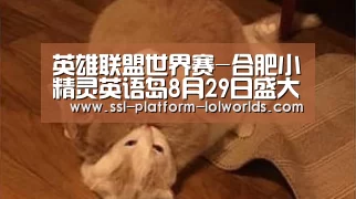 英雄联盟世界赛-合肥小精灵英语岛8月29日盛大开业 点亮孩子的哈佛梦想(图3) 英雄联盟世界赛